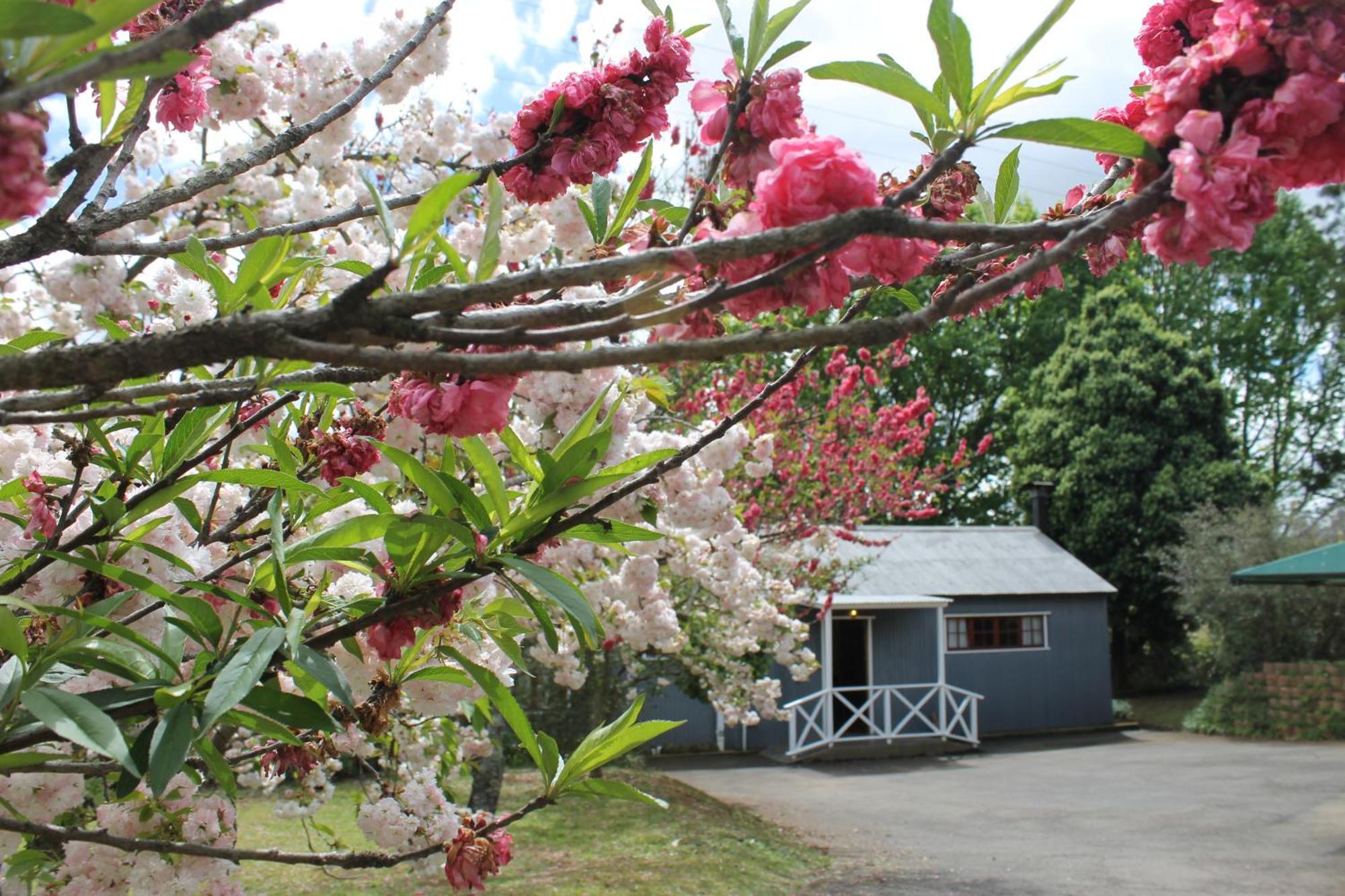 Mill Cottages Lidgetton Εξωτερικό φωτογραφία