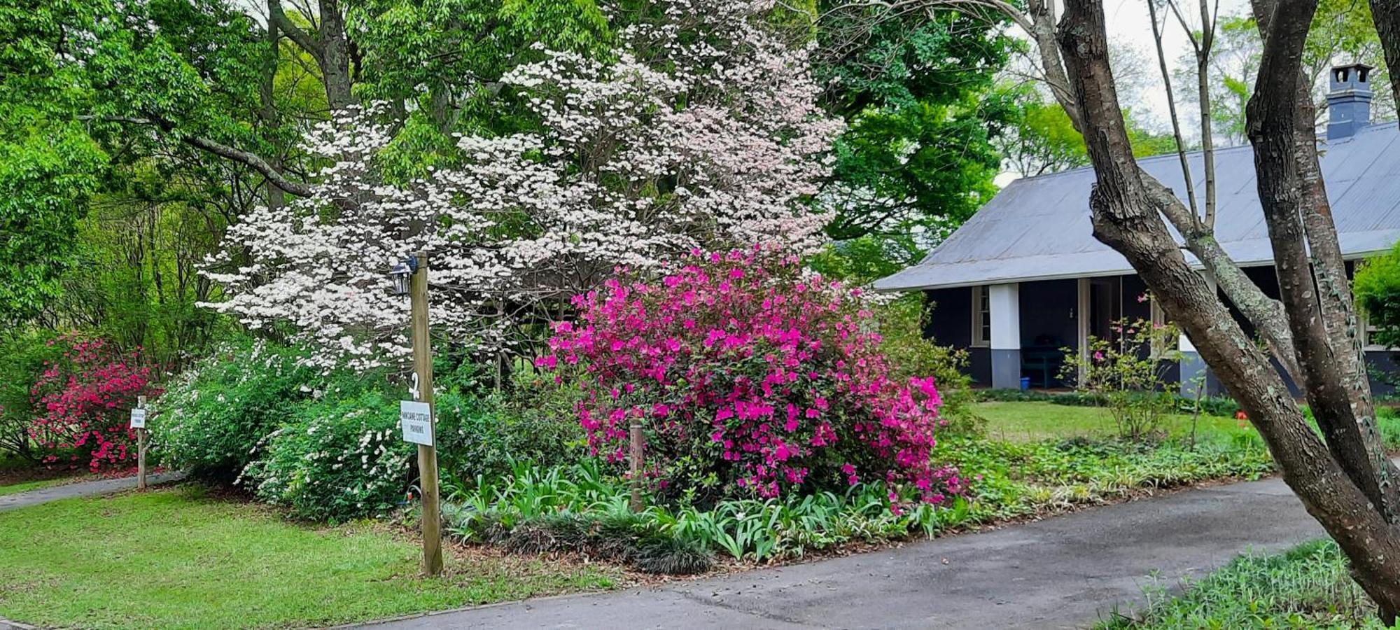 Mill Cottages Lidgetton Εξωτερικό φωτογραφία